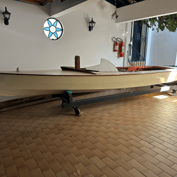 Gabiru - Foto: Max Gorissen