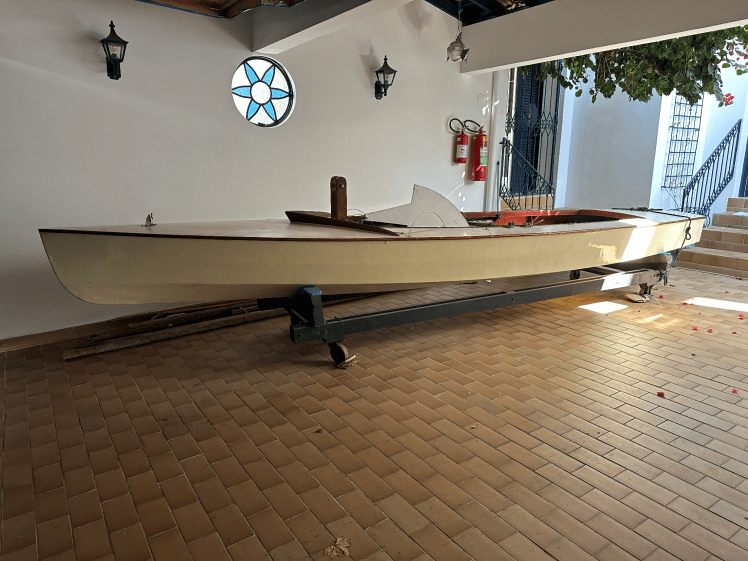 Gabiru - Foto: Max Gorissen